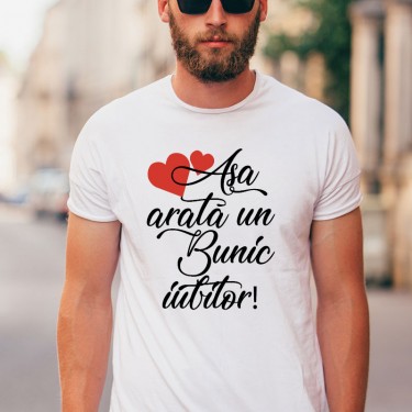 Tricou - Asa arata un bunic iubitor